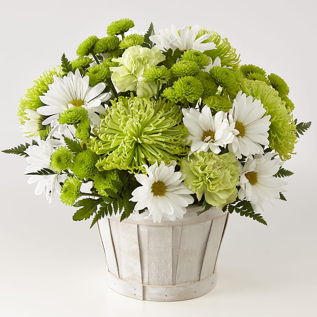Lucky Charm Basket (Standard) – Coleman Brothers Flowers Inc, Richmond VA