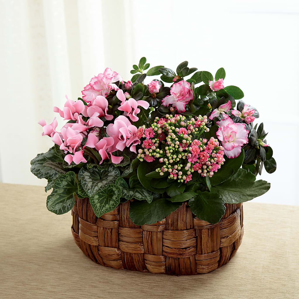 Pink Assortment – Coleman Brothers Flowers Inc, Richmond VA