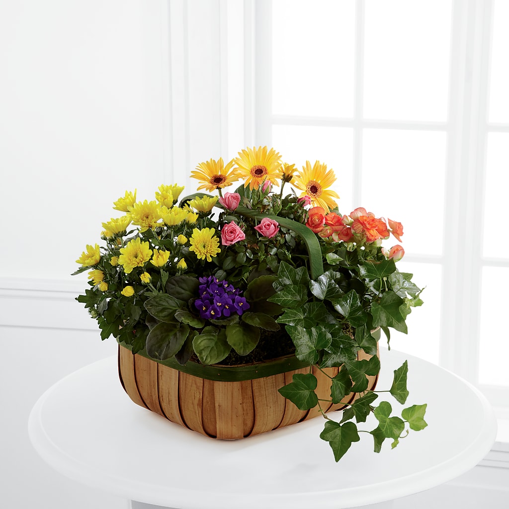Gentle Blossoms Basket – Coleman Brothers Flowers Inc, Richmond VA