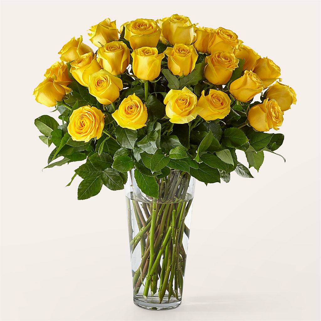 Long Stem Yellow Rose Bouquet – Coleman Brothers Flowers Inc, Richmond VA