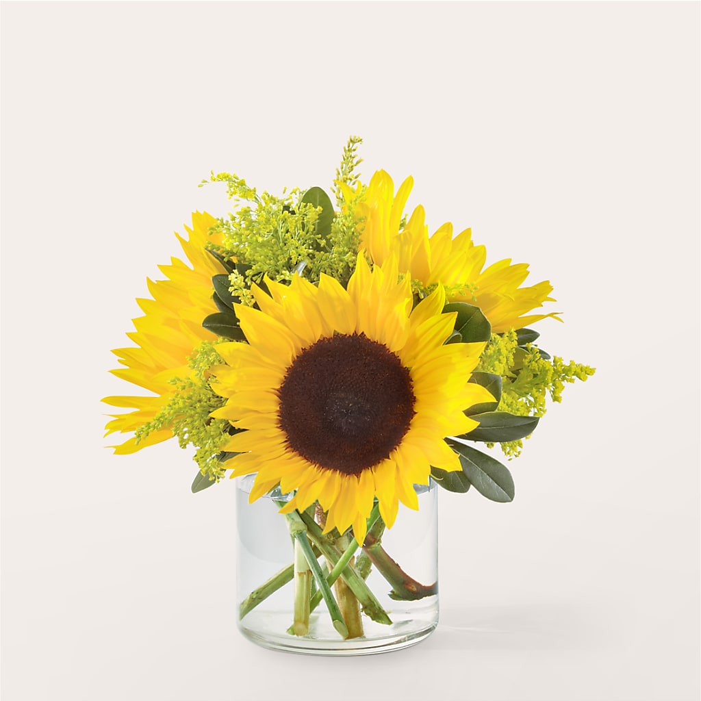 Beaming Sunflower Bouquet – Coleman Brothers Flowers Inc, Richmond VA