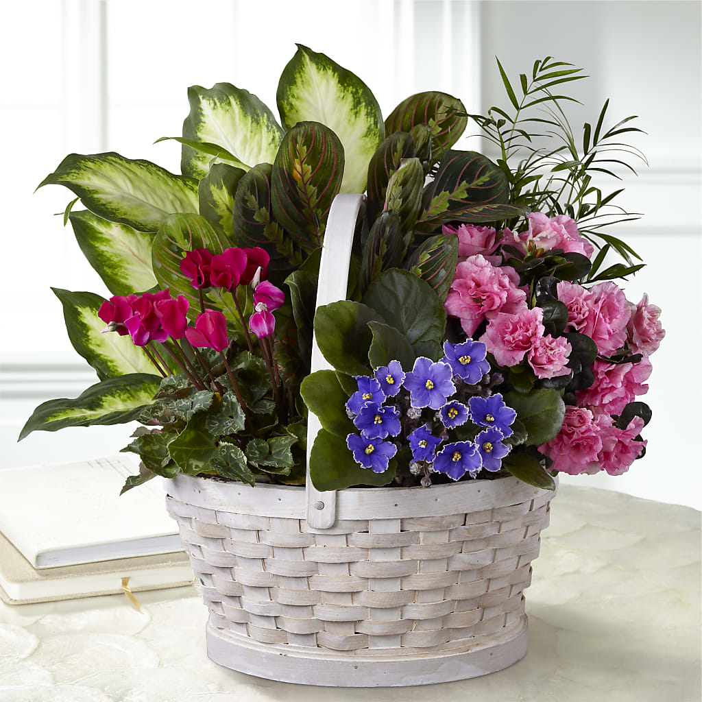 Peaceful Garden Planter – Coleman Brothers Flowers Inc, Richmond VA