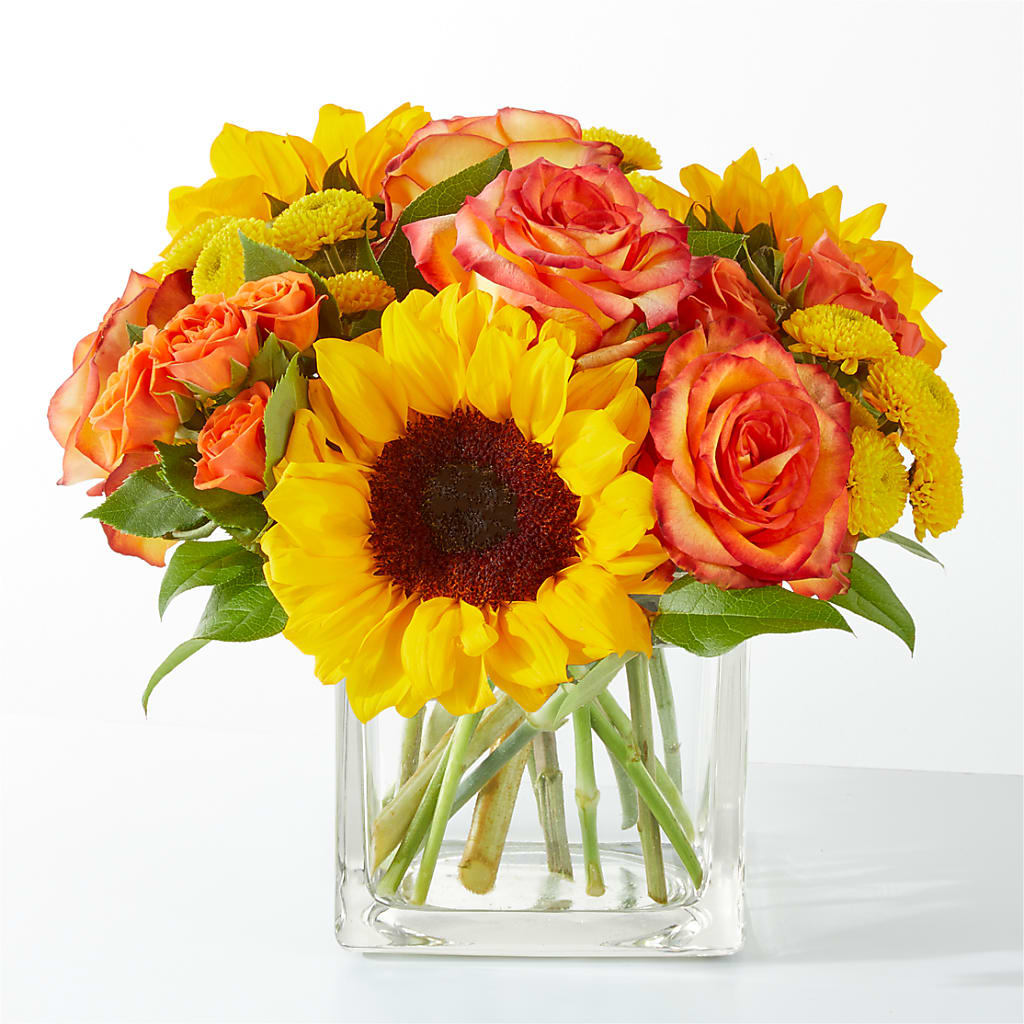 Picnic in the Park Bouquet – Coleman Brothers Flowers Inc, Richmond VA