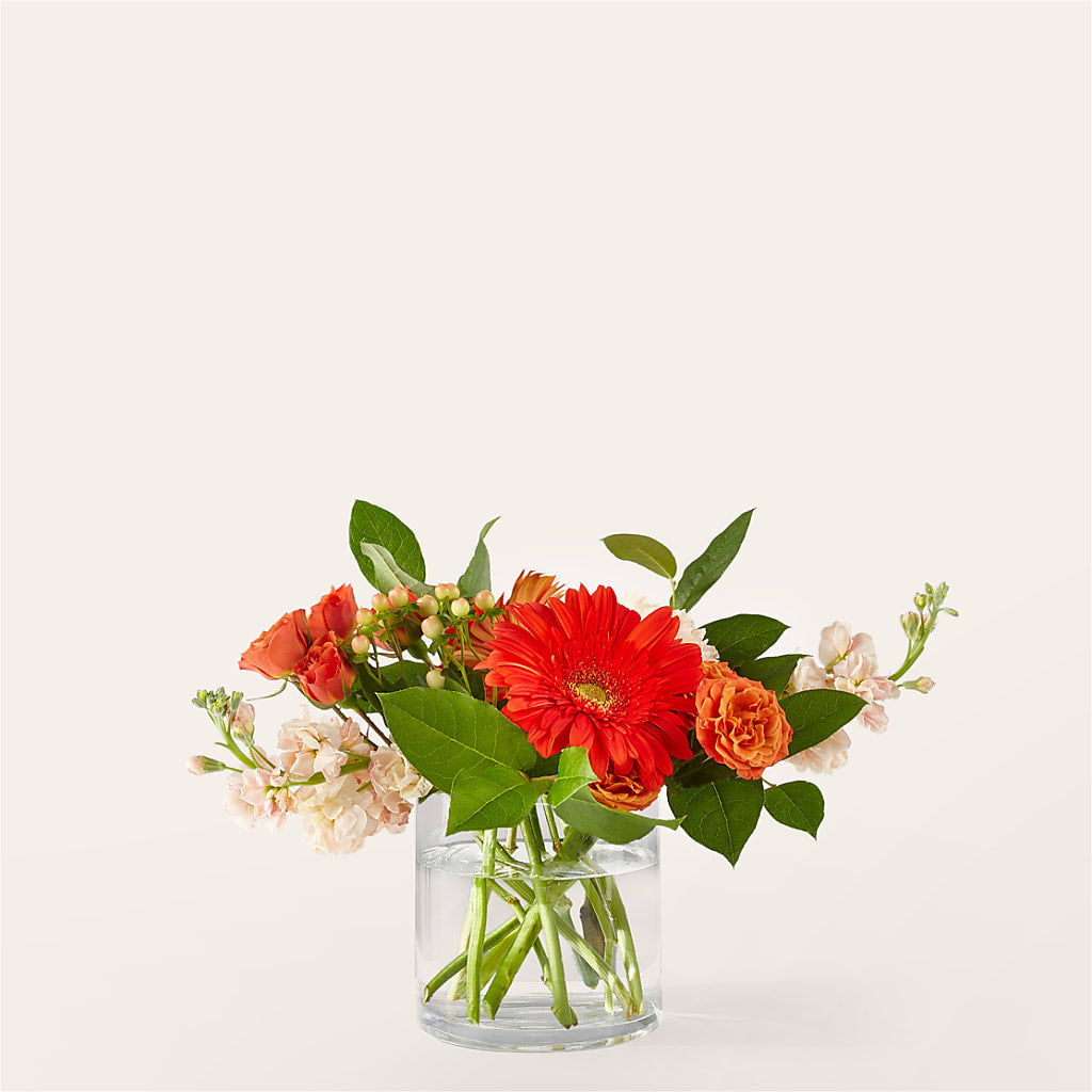 Paloma Please Bouquet – Coleman Brothers Flowers Inc, Richmond VA