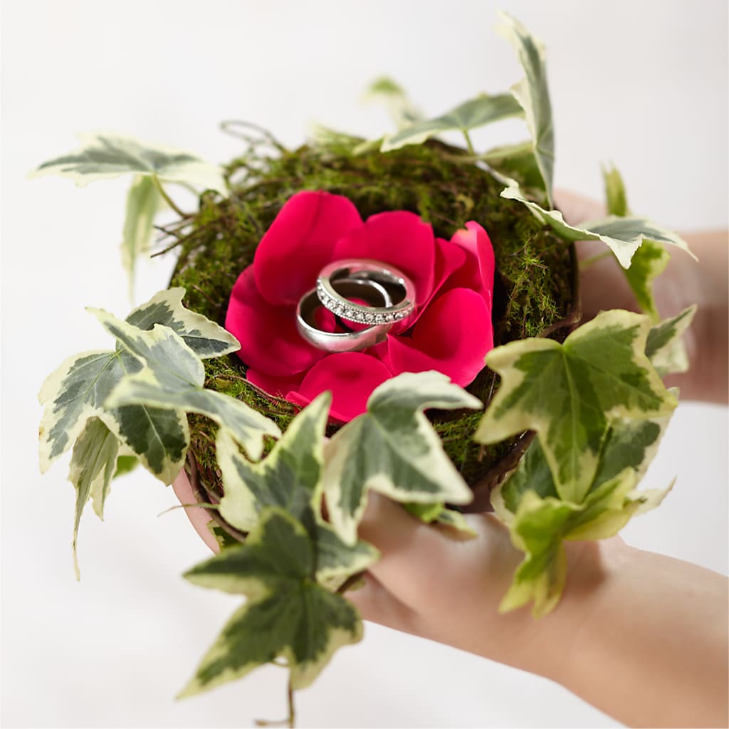 Lila Rose Ring Nest – Coleman Brothers Flowers Inc, Richmond VA