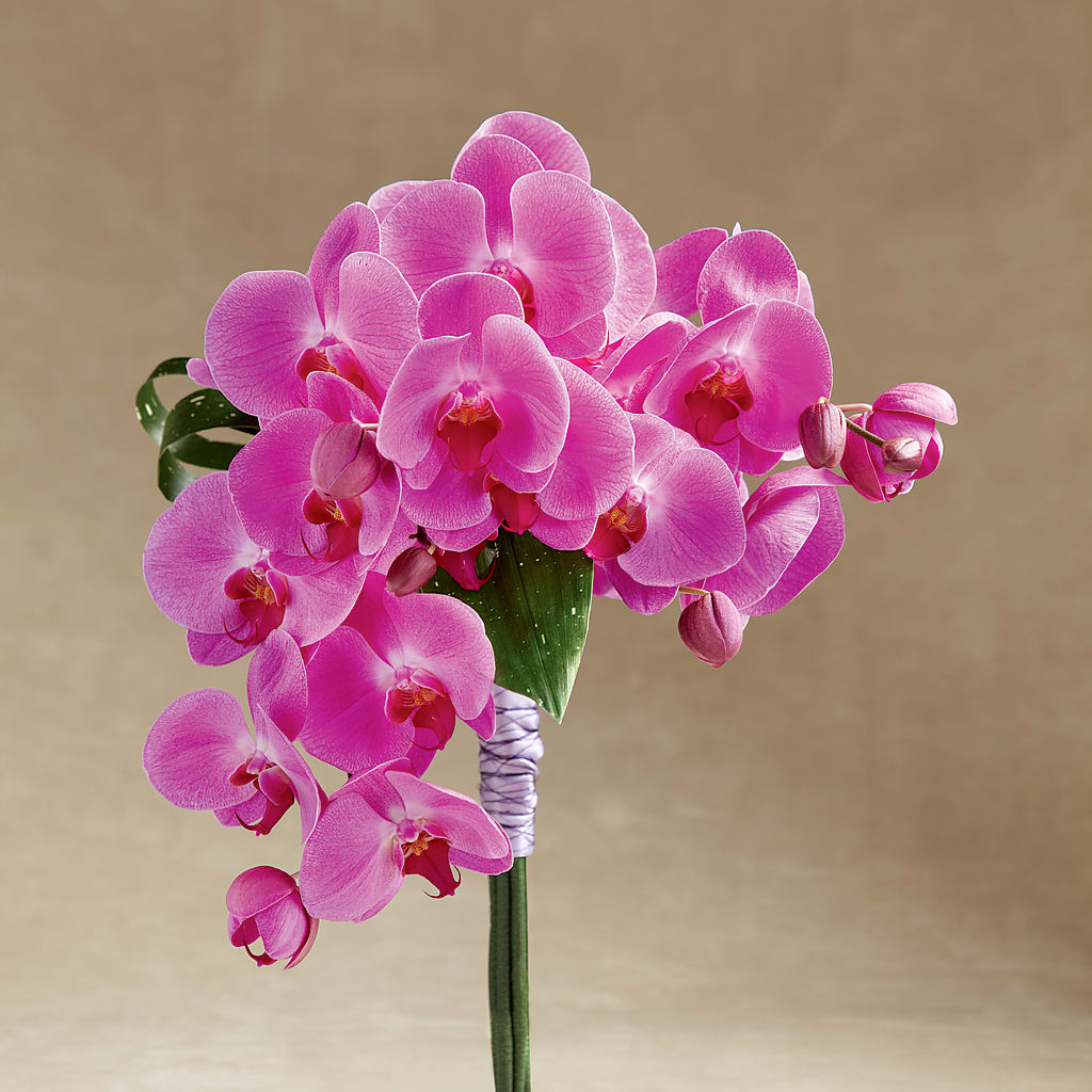Glorious Bouquet – Coleman Brothers Flowers Inc, Richmond VA