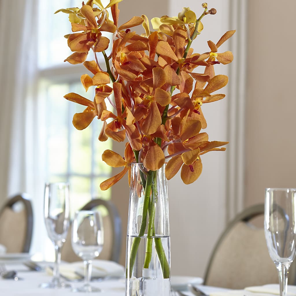 Orange Mokara Bud Vase – Coleman Brothers Flowers Inc, Richmond VA