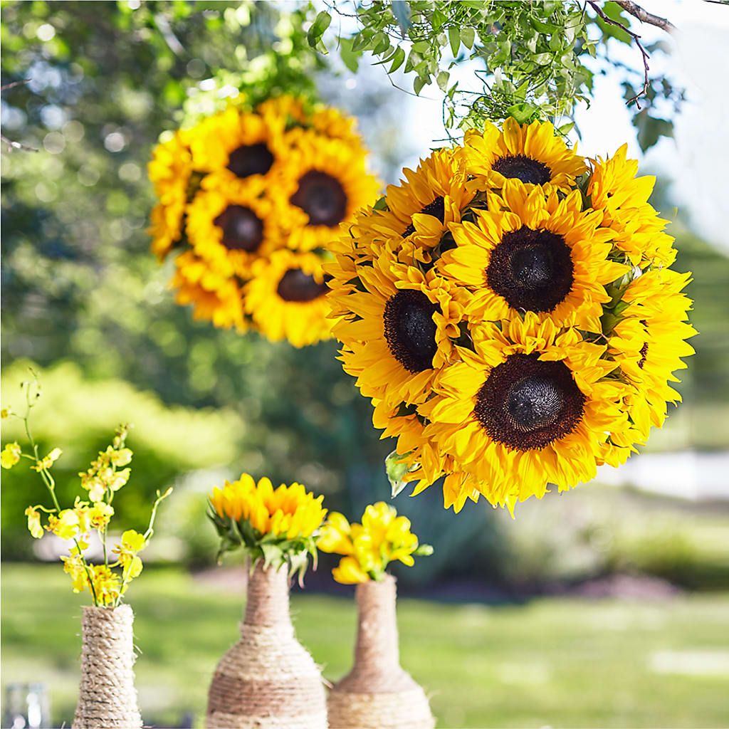 Sublime Garden Hanging Arrangement – Coleman Brothers Flowers Inc, Richmond VA
