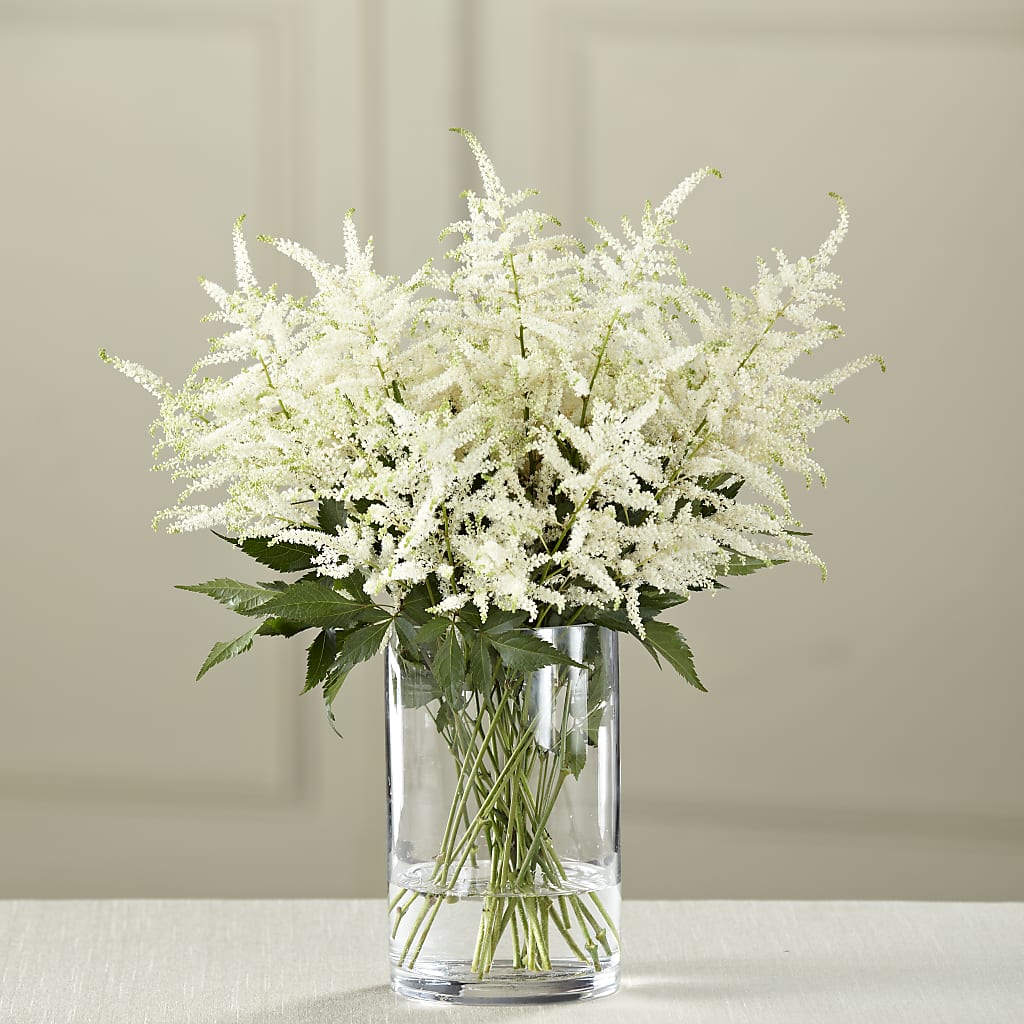 White Astilbe Bouquet – Coleman Brothers Flowers Inc, Richmond VA
