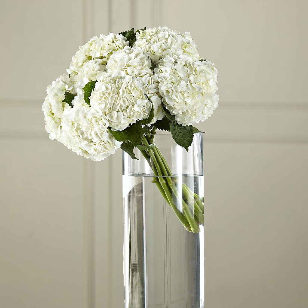 White Hydrangea Hand-Tied Bouquet – Coleman Brothers Flowers Inc, Richmond VA