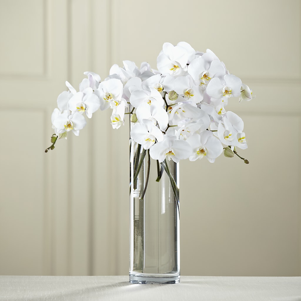 White Phalaenopsis Bouquet – Coleman Brothers Flowers Inc, Richmond VA