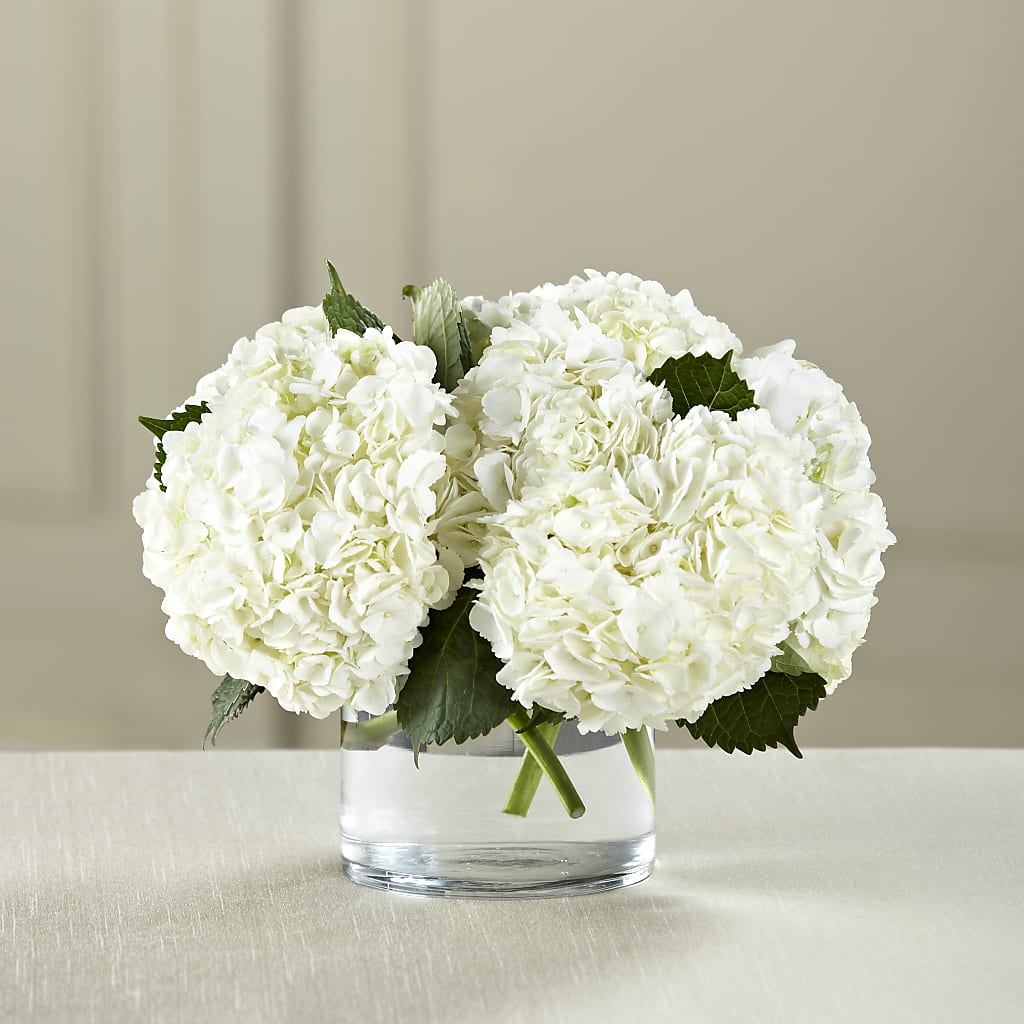 White Hydrangea Bouquet – Coleman Brothers Flowers Inc, Richmond VA