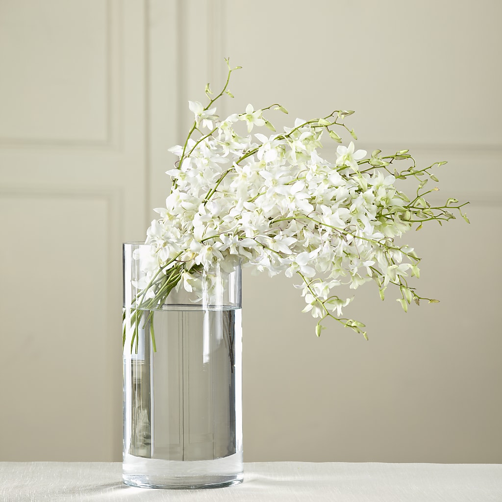 White Dendrobium Bouquet – Coleman Brothers Flowers Inc, Richmond VA