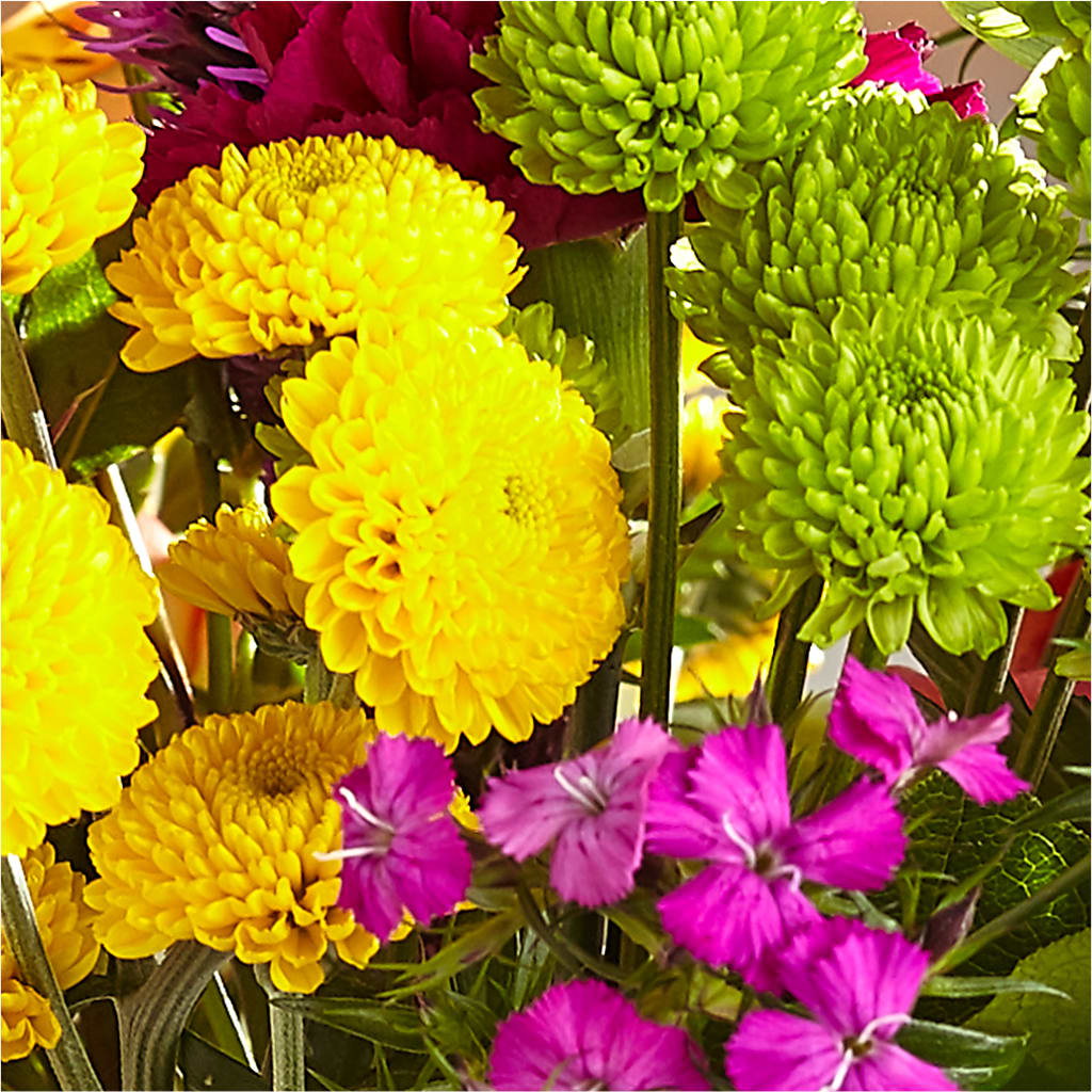 Bold & Bright – A Florist Original –  Coleman Brothers Flowers Inc, Richmond VA