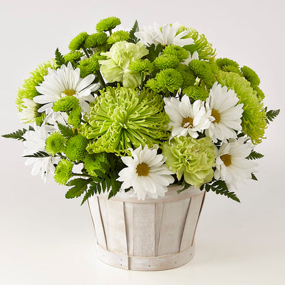 Lucky Charm Basket (Standard) –  Coleman Brothers Flowers Inc, Richmond VA
