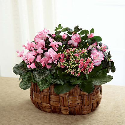 Pink Assortment –  Coleman Brothers Flowers Inc, Richmond VA