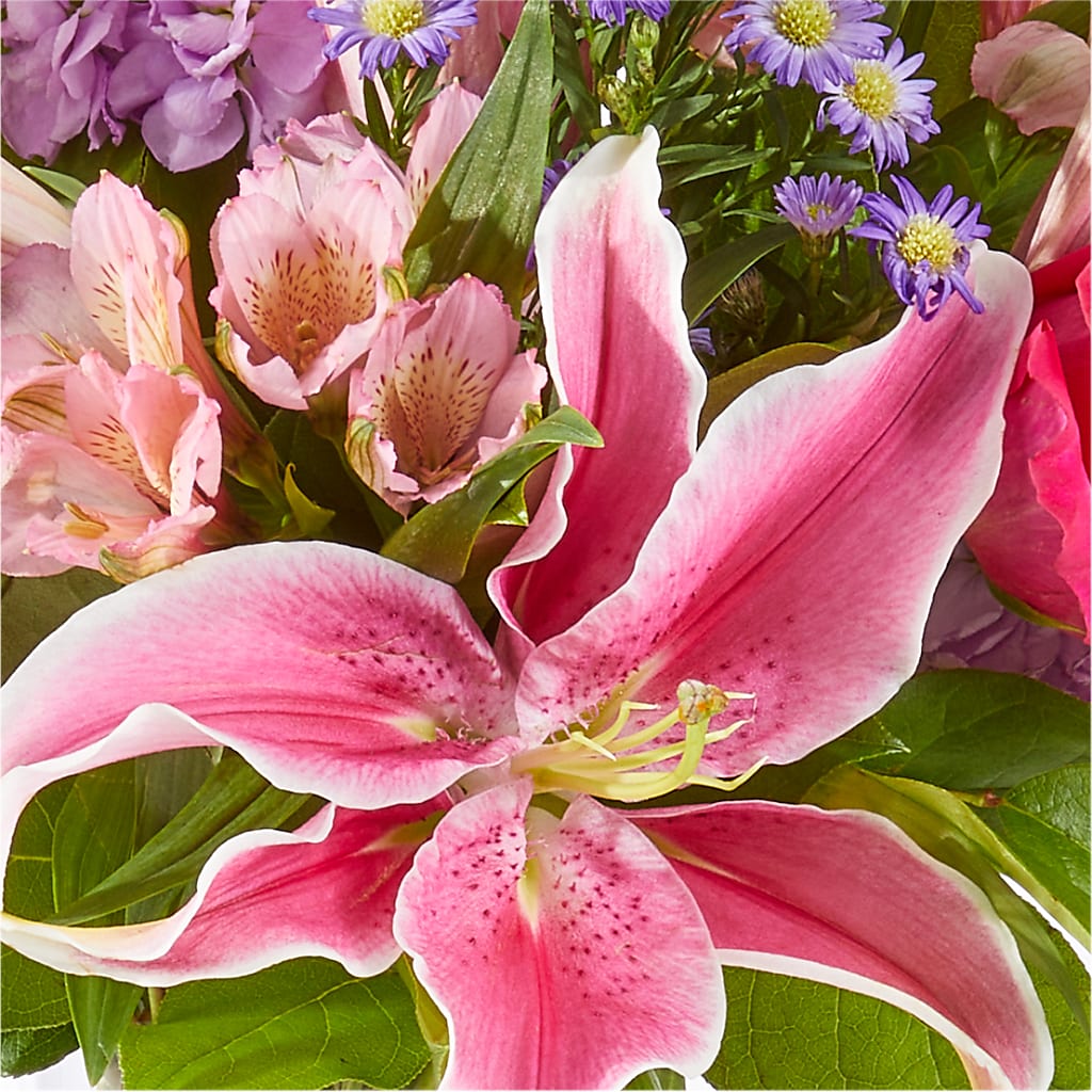 Written in the Stars Bouquet –  Coleman Brothers Flowers Inc, Richmond VA