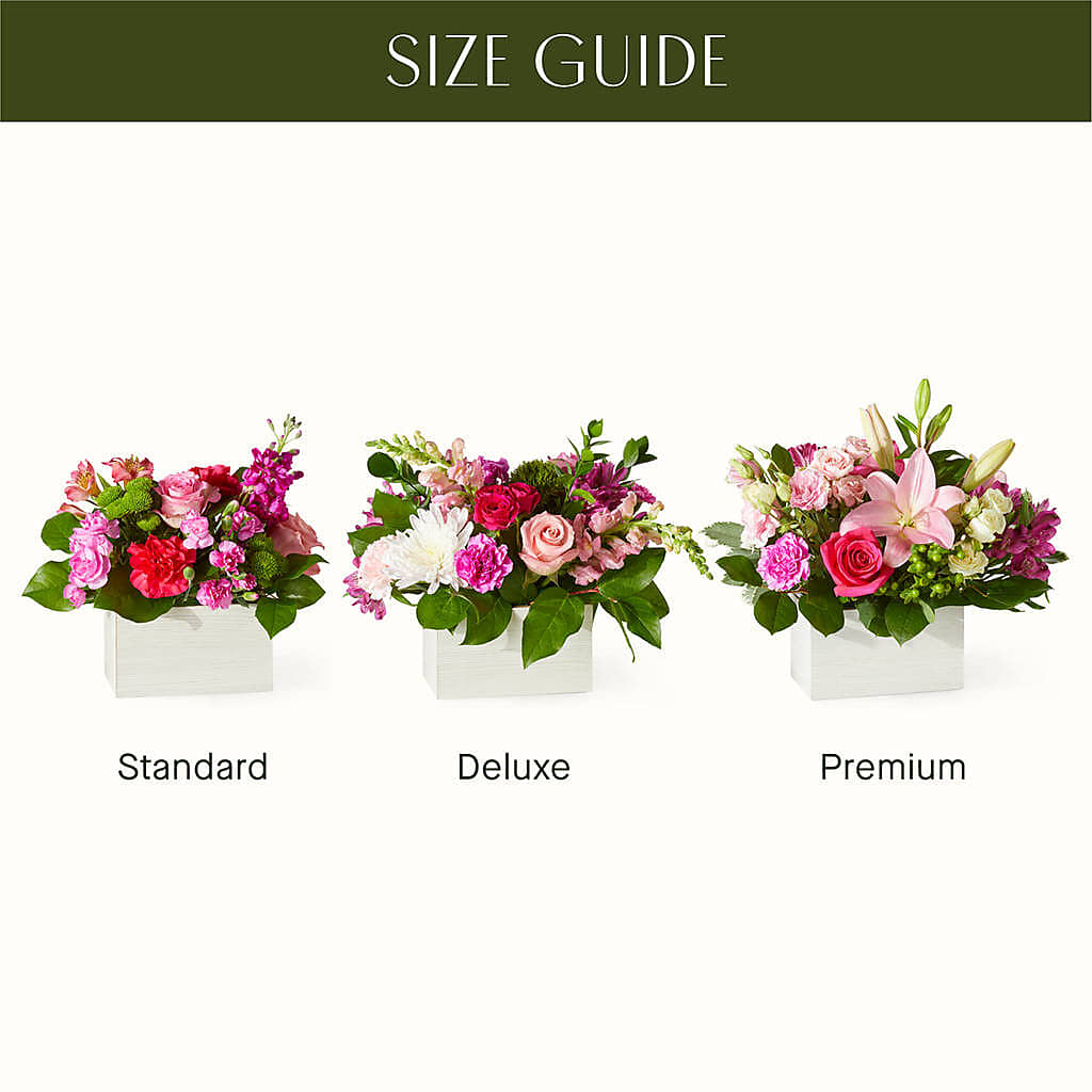 Sweetberry Box – A Florist Original –  Coleman Brothers Flowers Inc, Richmond VA