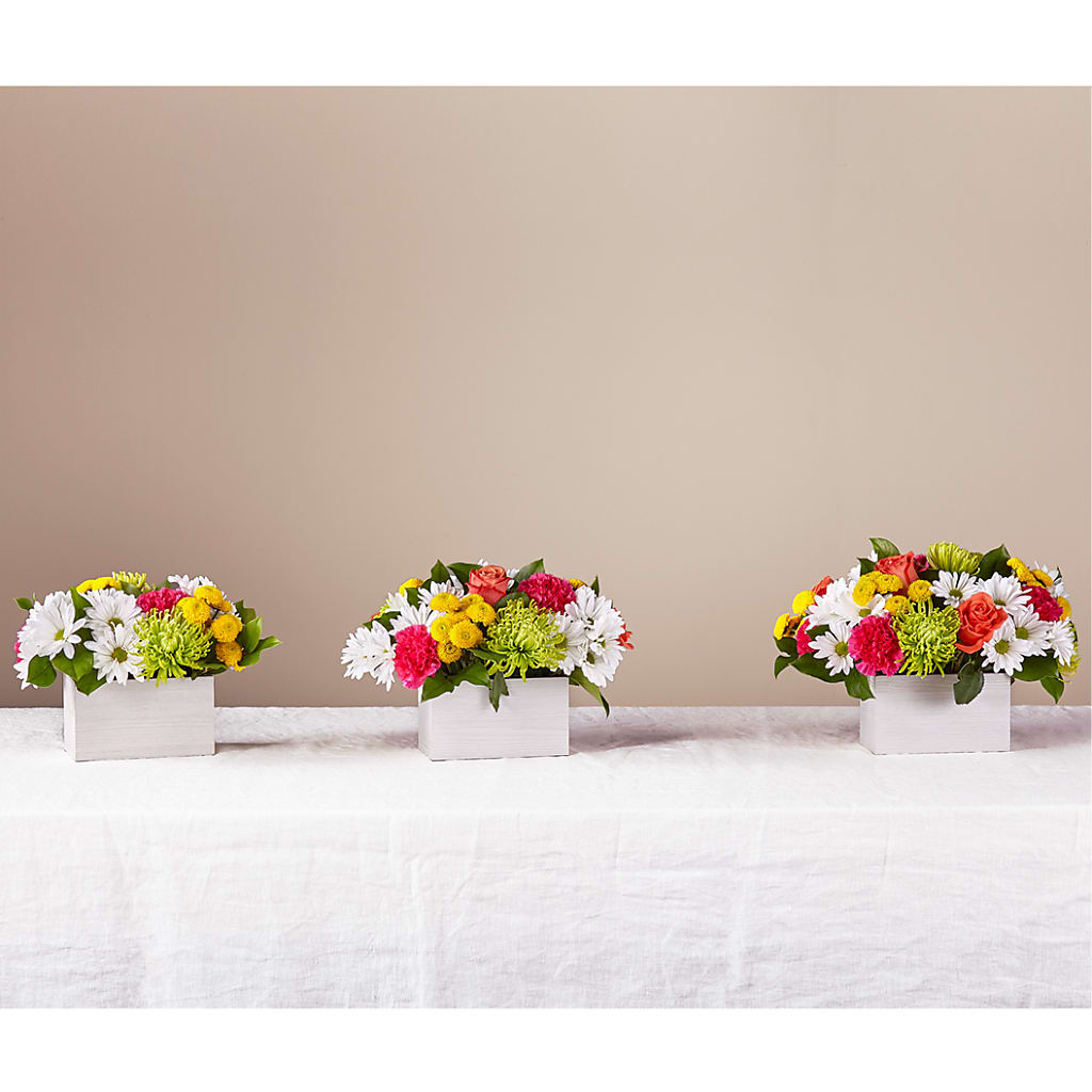 Sorbet Bouquet –  Coleman Brothers Flowers Inc, Richmond VA