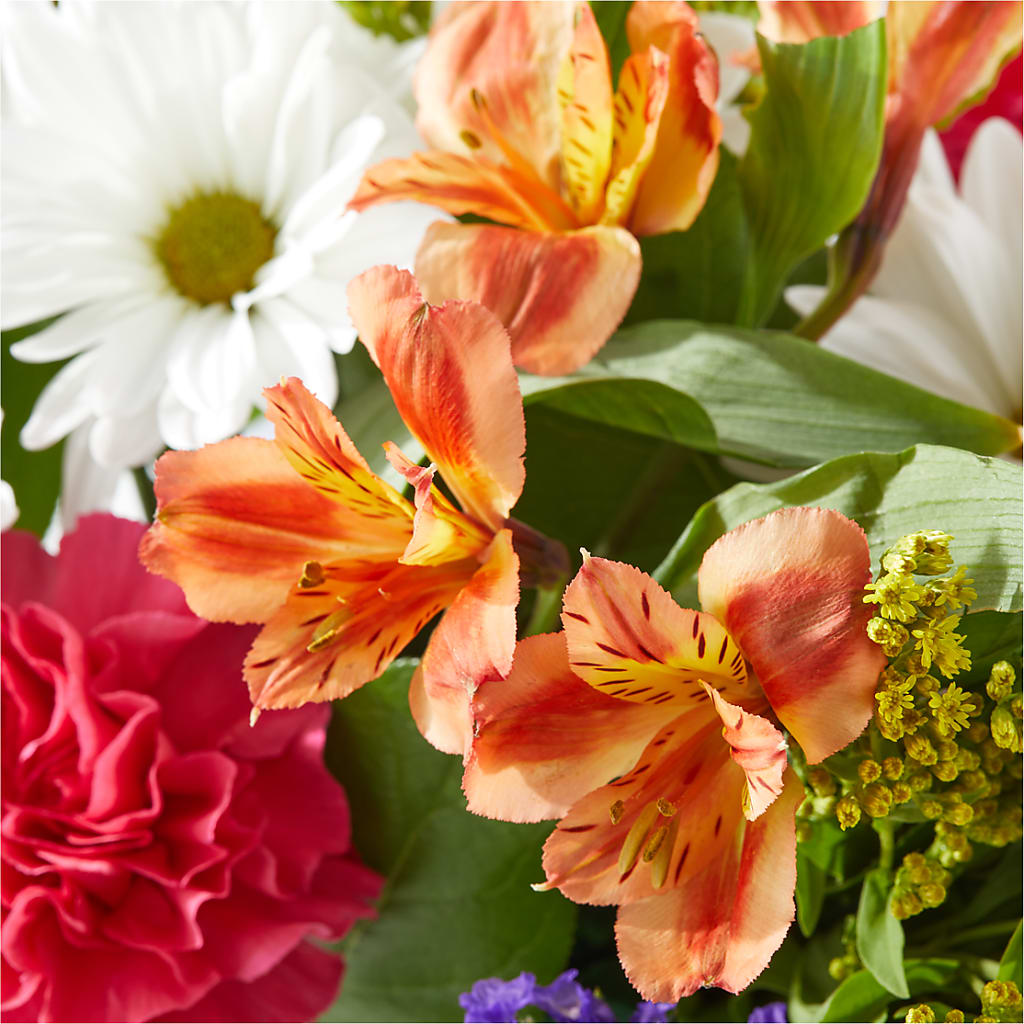 Oopsie Daisy Box Bouquet –  Coleman Brothers Flowers Inc, Richmond VA