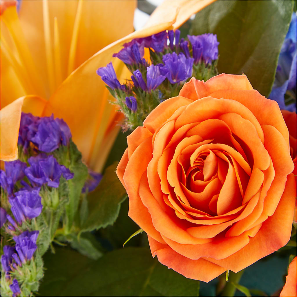 Radiant Citrus Box Bouquet –  Coleman Brothers Flowers Inc, Richmond VA