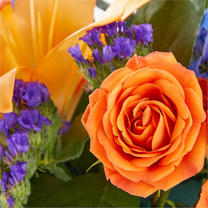 Radiant Citrus Box Bouquet –  Coleman Brothers Flowers Inc, Richmond VA