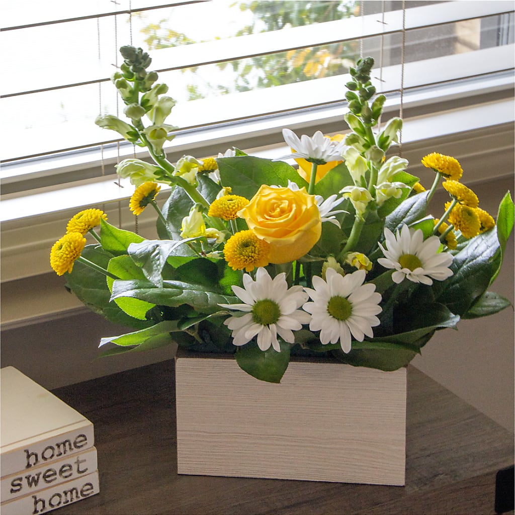 Sun Salutation Box Bouquet –  Coleman Brothers Flowers Inc, Richmond VA