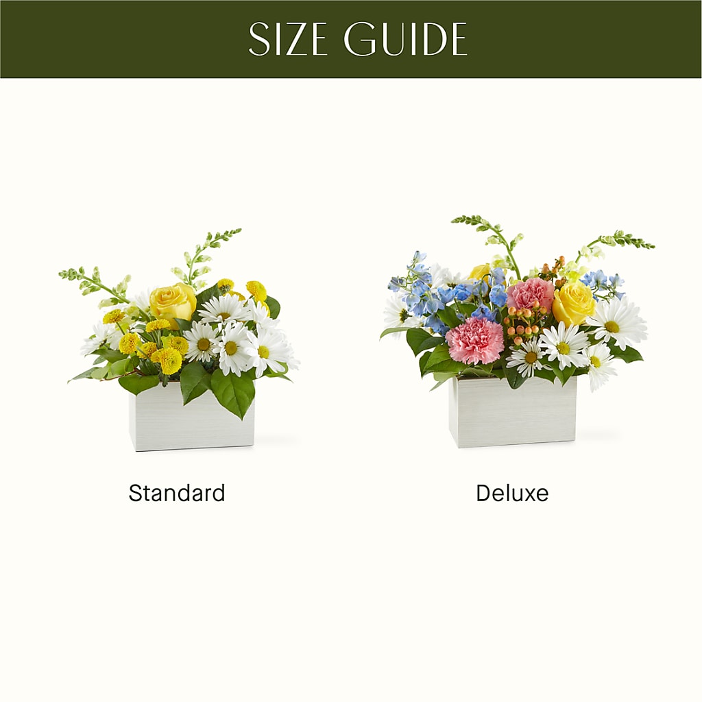 Sun Salutation Box Bouquet –  Coleman Brothers Flowers Inc, Richmond VA