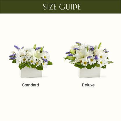 Beyond Blue Box Bouquet –  Coleman Brothers Flowers Inc, Richmond VA