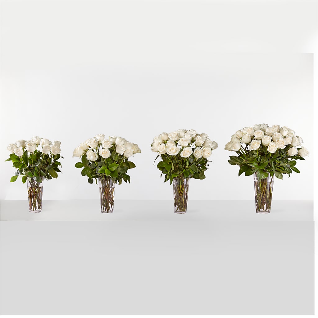 Long Stem White Rose Bouquet –  Coleman Brothers Flowers Inc, Richmond VA