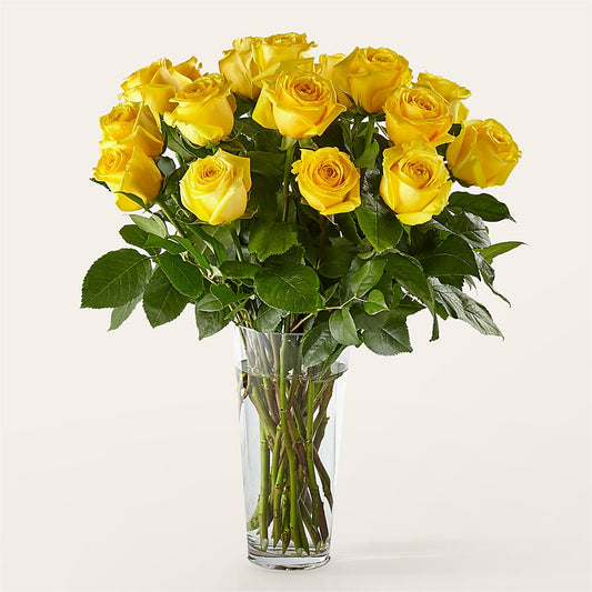 Long Stem Yellow Rose Bouquet –  Coleman Brothers Flowers Inc, Richmond VA