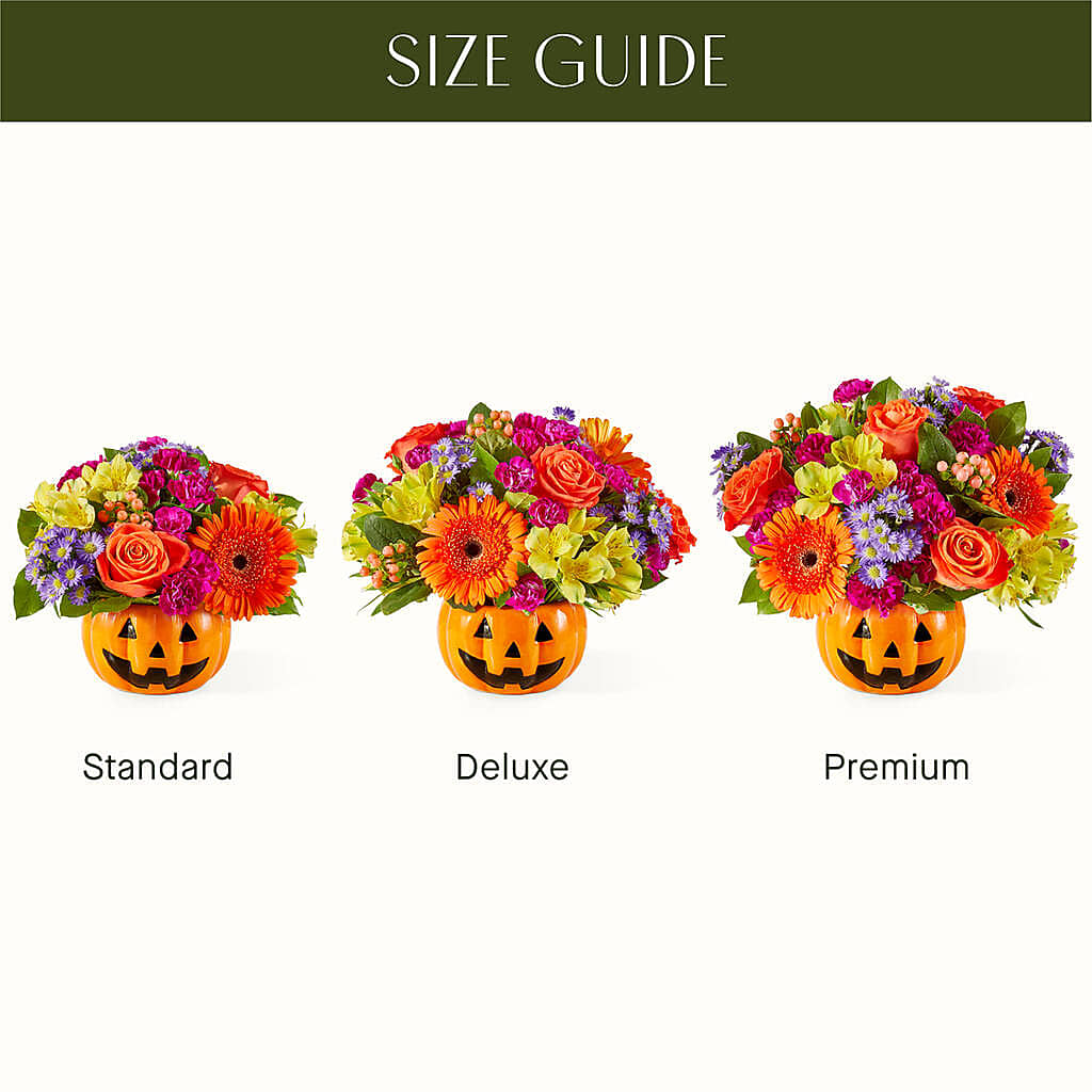 Tricks & Treats Pumpkin –  Coleman Brothers Flowers Inc, Richmond VA
