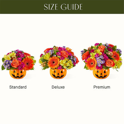 Tricks & Treats Pumpkin –  Coleman Brothers Flowers Inc, Richmond VA