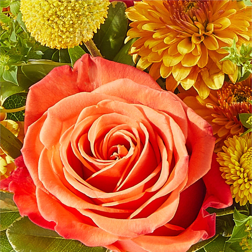 Gourdgeous Pumpkin –  Coleman Brothers Flowers Inc, Richmond VA