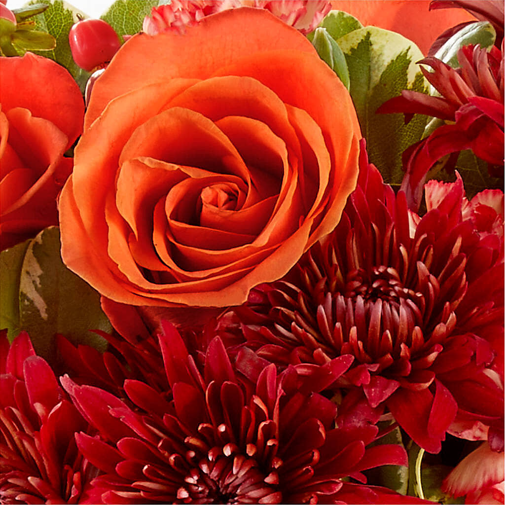 Autumn Air Pumpkin Bouquet –  Coleman Brothers Flowers Inc, Richmond VA