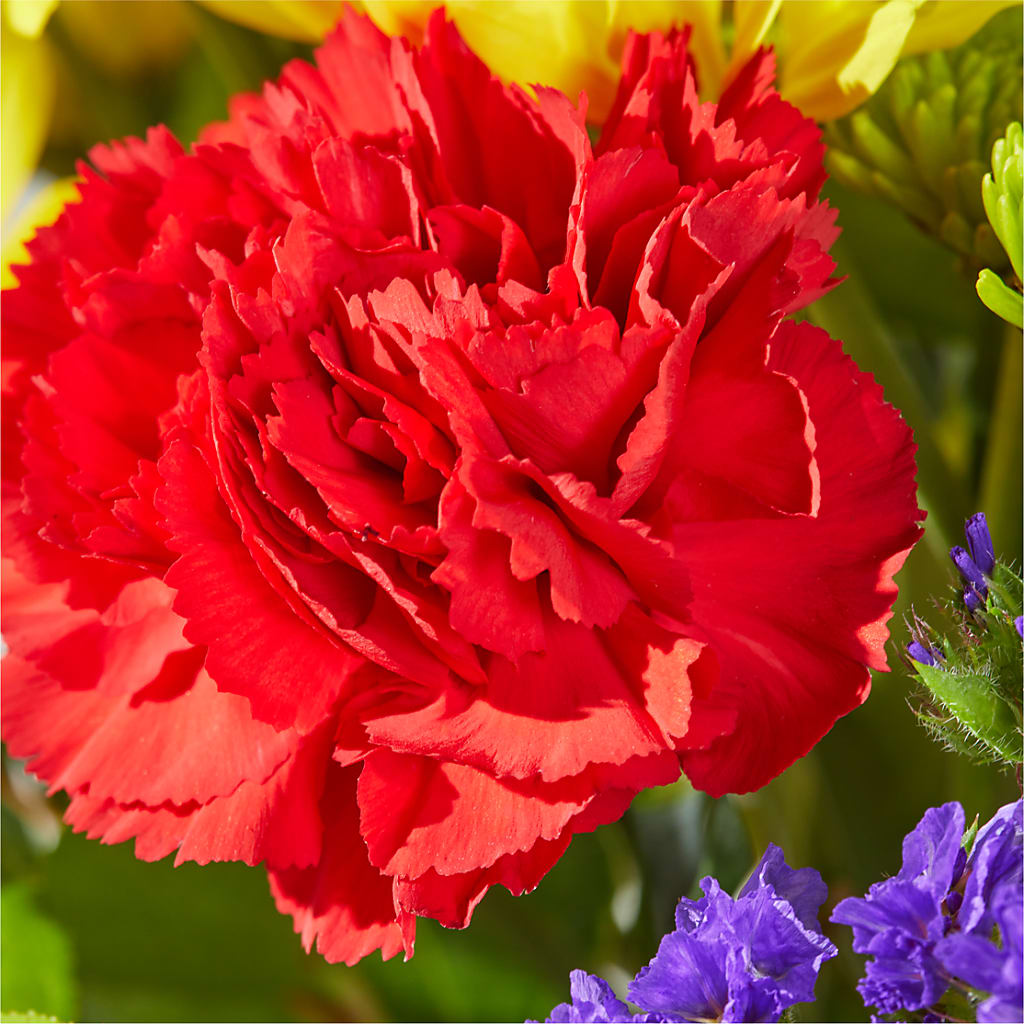 Brighter Days Bouquet –  Coleman Brothers Flowers Inc, Richmond VA