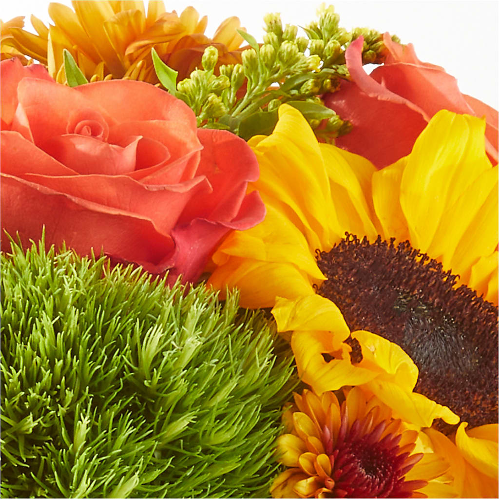 Farmer’s Market Stroll Bouquet –  Coleman Brothers Flowers Inc, Richmond VA