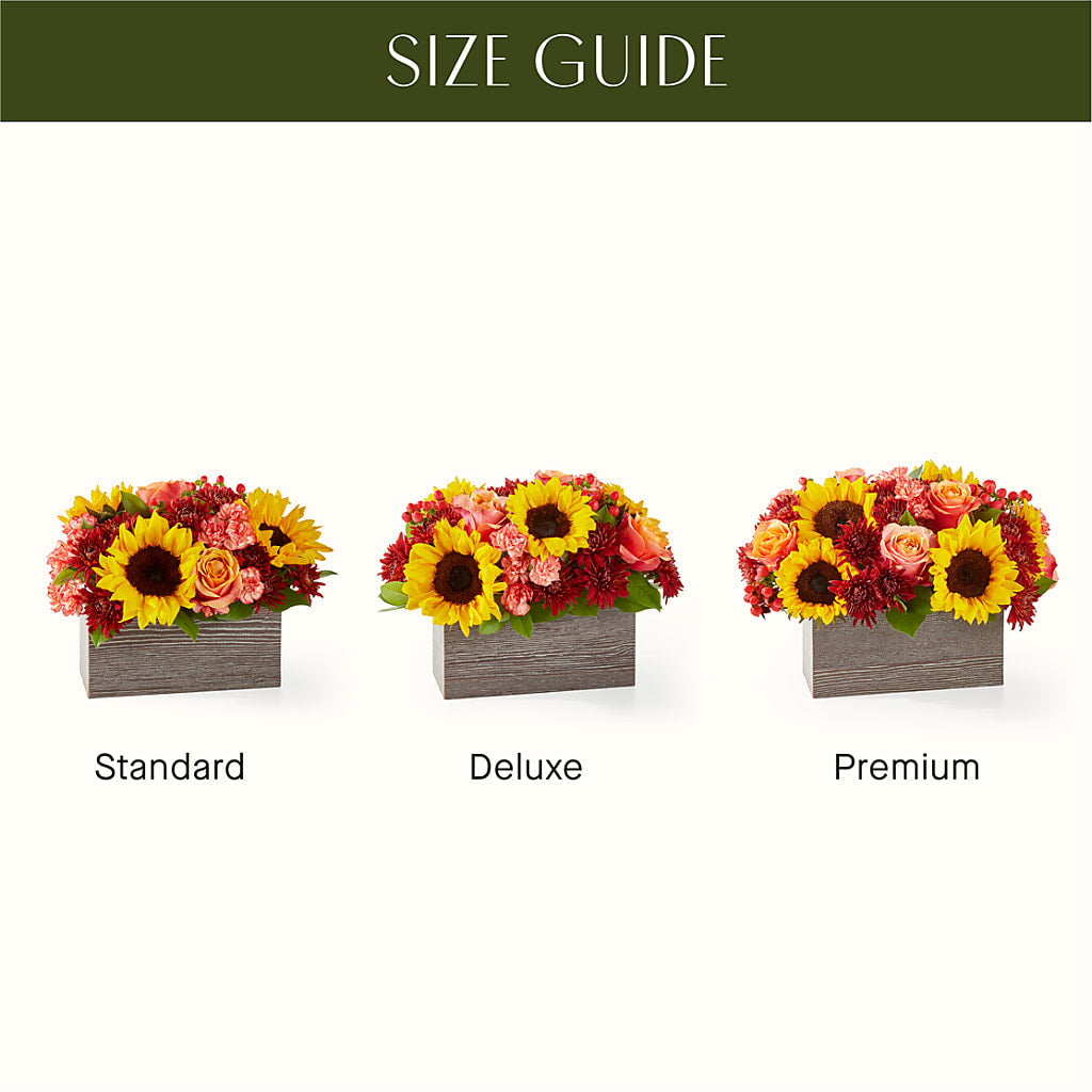 Fresh Cider Bouquet –  Coleman Brothers Flowers Inc, Richmond VA