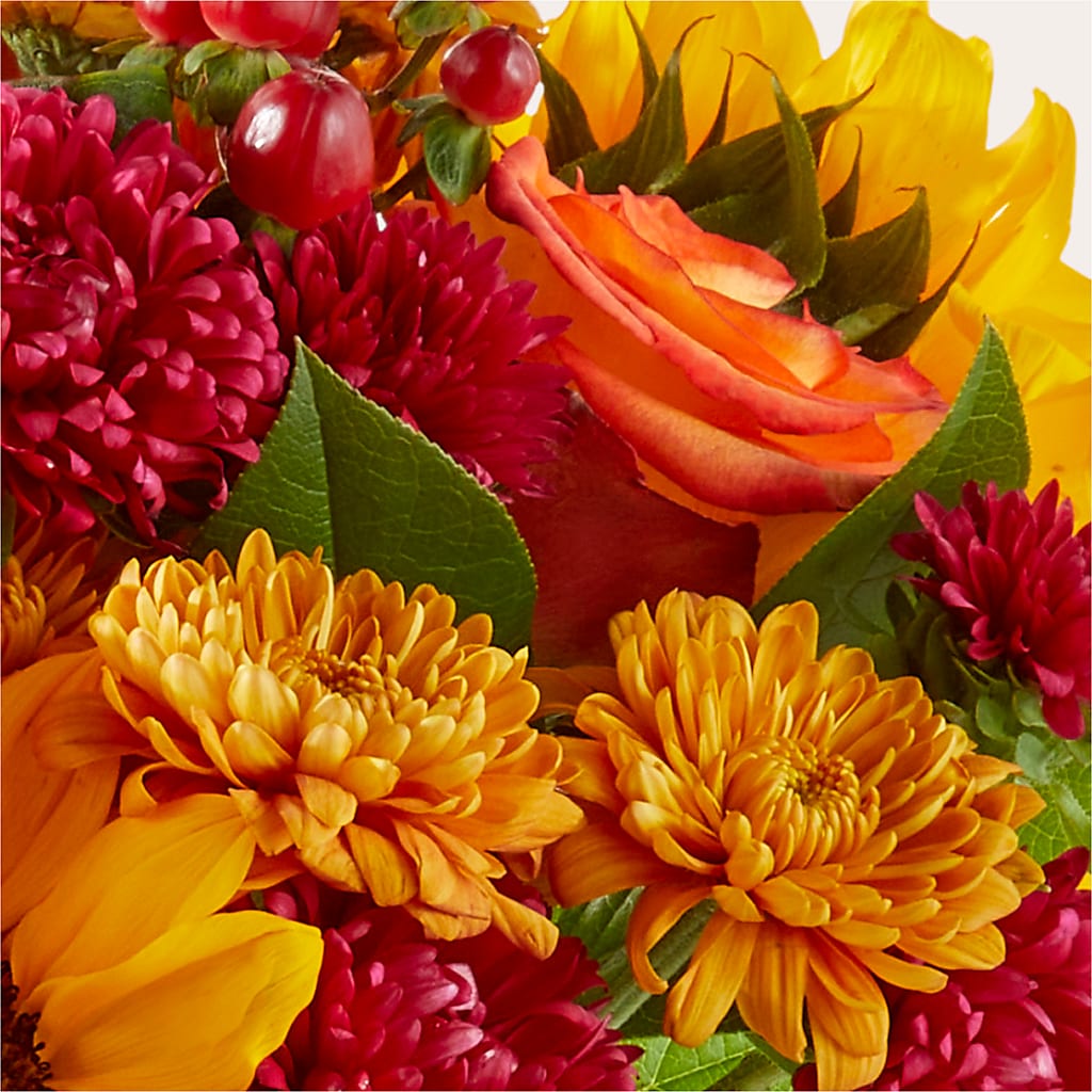 Sweater Season - A Florist Original –  Coleman Brothers Flowers Inc, Richmond VA