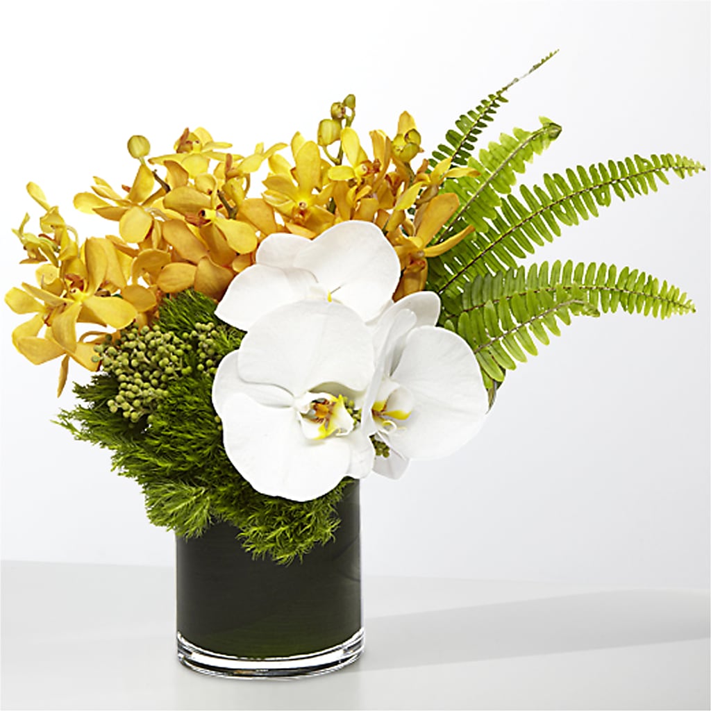 The Tropics –  Coleman Brothers Flowers Inc, Richmond VA