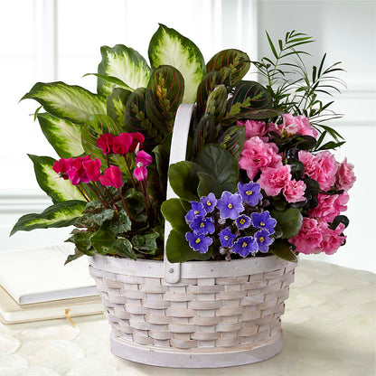 Peaceful Garden Planter –  Coleman Brothers Flowers Inc, Richmond VA