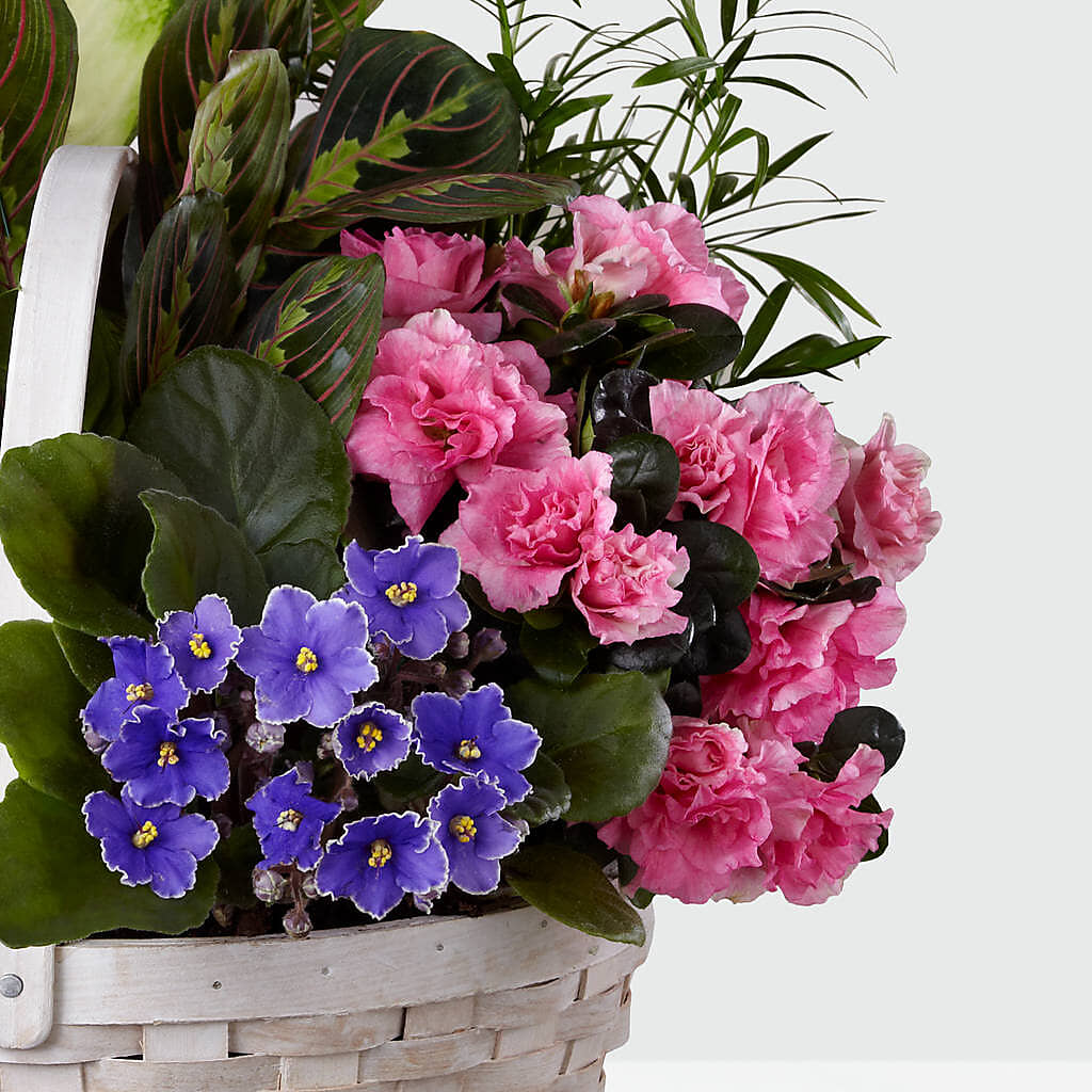 Peaceful Garden Planter –  Coleman Brothers Flowers Inc, Richmond VA