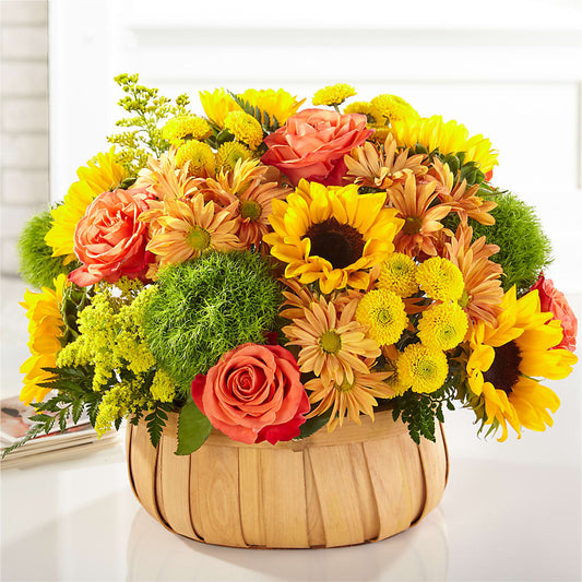 Harvest Sunflower Basket –  Coleman Brothers Flowers Inc, Richmond VA