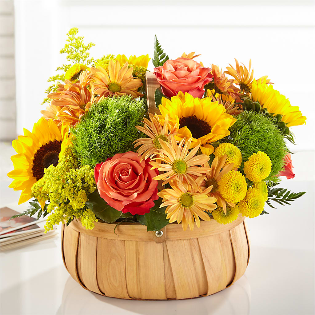 Harvest Sunflower Basket –  Coleman Brothers Flowers Inc, Richmond VA