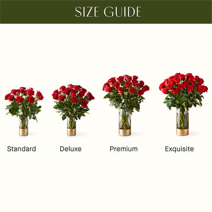 Classic Love Red Rose Bouquet –  Coleman Brothers Flowers Inc, Richmond VA