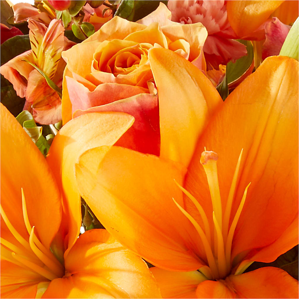Afternoon Light Bouquet –  Coleman Brothers Flowers Inc, Richmond VA