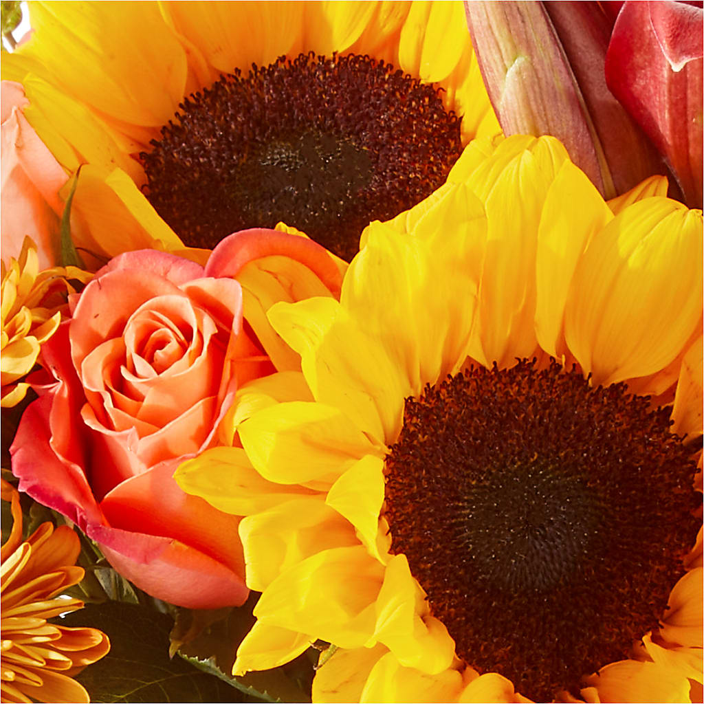 Acorn Lane Bouquet –  Coleman Brothers Flowers Inc, Richmond VA