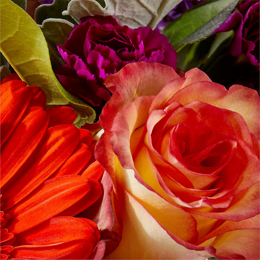 Sangria Bouquet –  Coleman Brothers Flowers Inc, Richmond VA