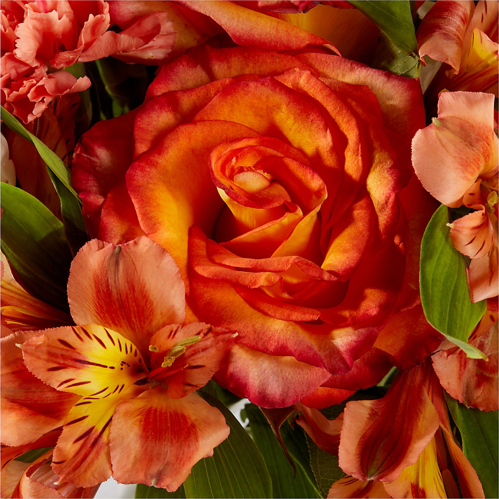 Apricot Glow Bouquet –  Coleman Brothers Flowers Inc, Richmond VA