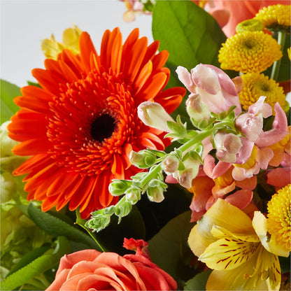 Autumn Sunshine Bouquet –  Coleman Brothers Flowers Inc, Richmond VA